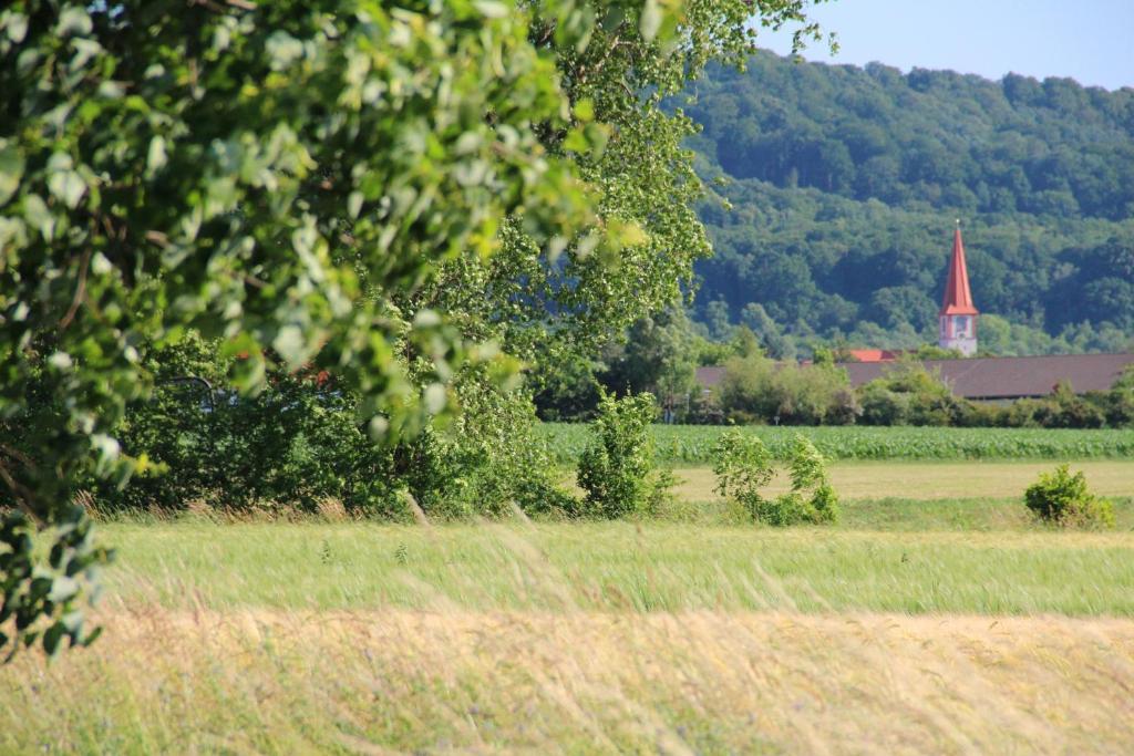 Rotes Ross Marktbergel Esterno foto
